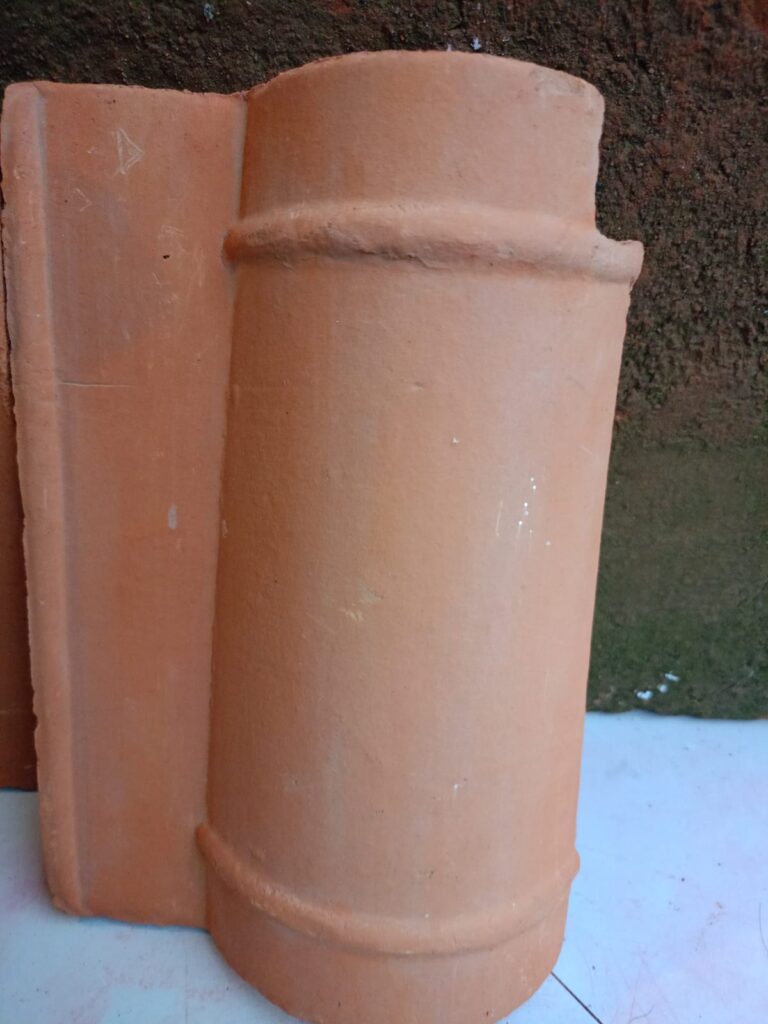 Teja prensada de ala roja