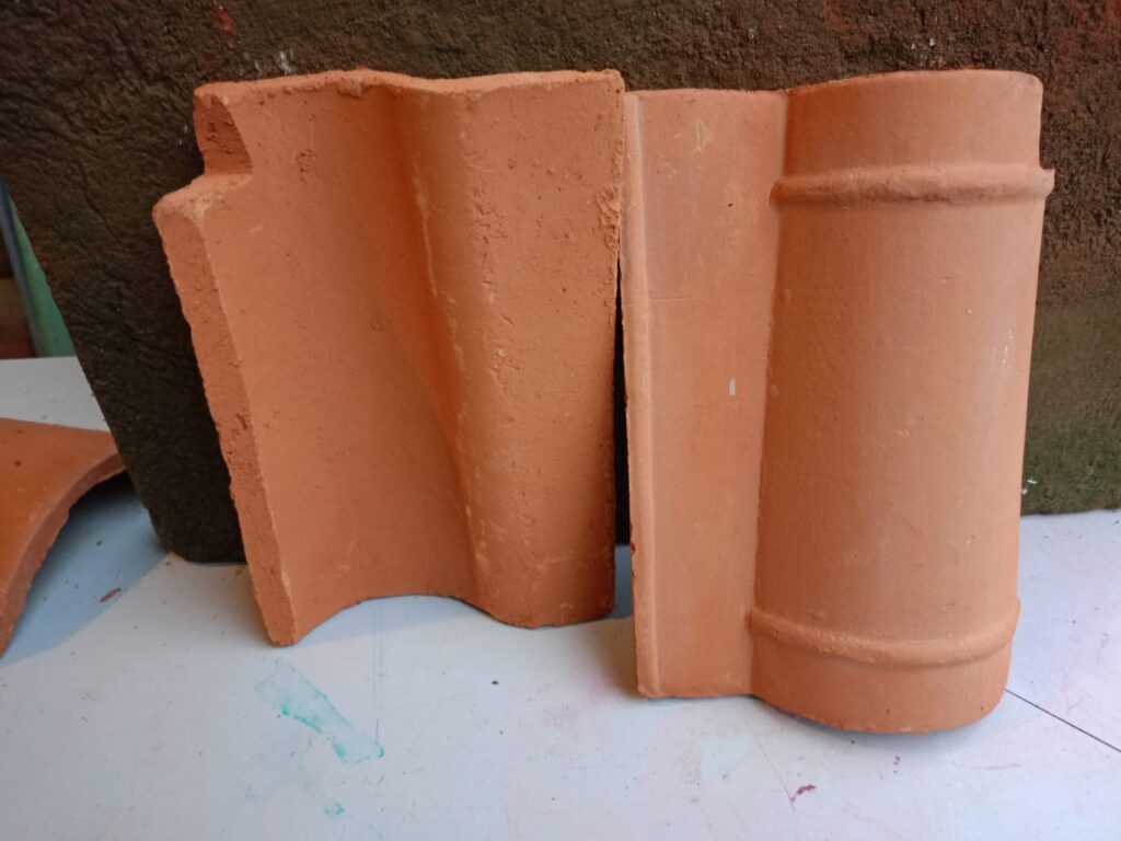 Teja prensada de ala roja1