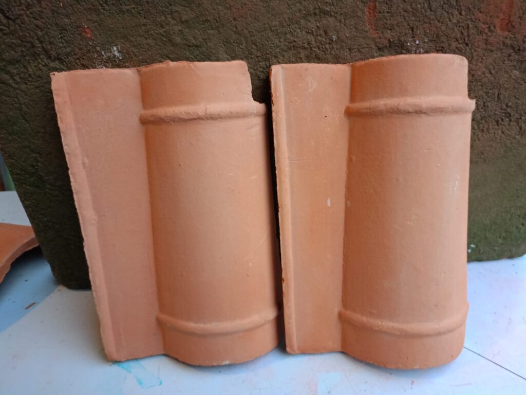 Teja prensada de ala roja2