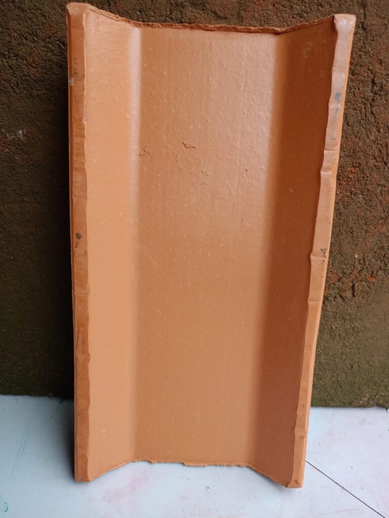 teja guadalajara1